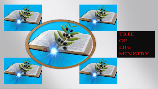 Tree Of Life Ministry Screen 3