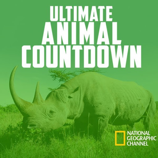 Ultimate Animal Countdown - TV on Google Play