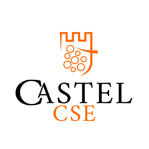 CSE Castel Saint Martin logo