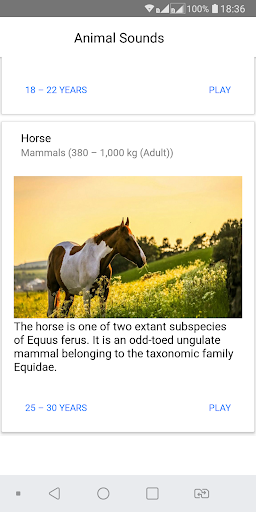 Animal Sounds Screen 3