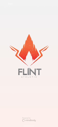 Flint Sports Academy