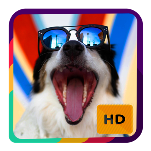 Cute Dog Wallpapers Hd Google Play のアプリ