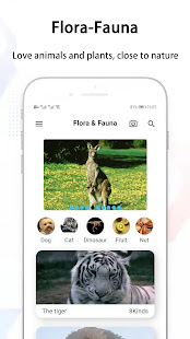 Предварительный просмотр приложения