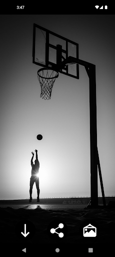Basketball Wallpapers Screen 3