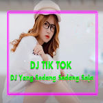 Cover Image of Baixar DJ Aku Suka Dia Mak 1.2 APK