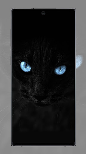 Black wallpapers Screen 2