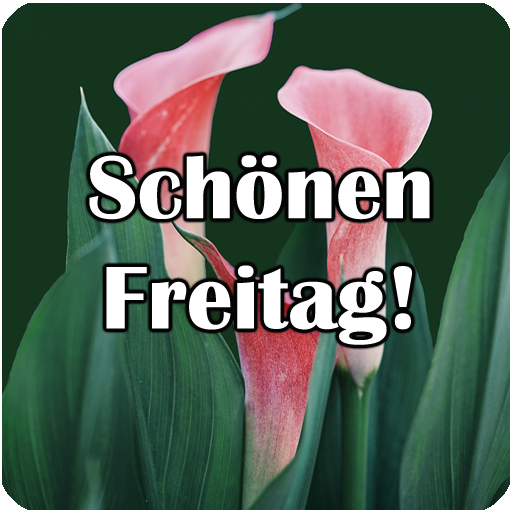 Guten Morgen, schönen Freitag!