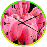 Tulips Clock Live Wallpaper icon