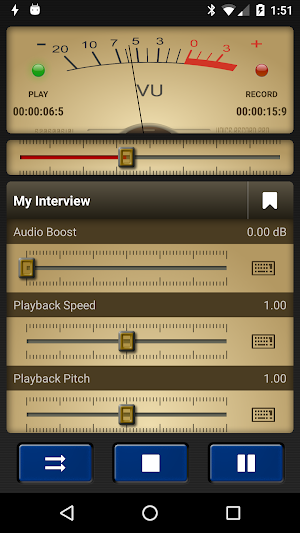 Voice Record Pro screenshot 0
