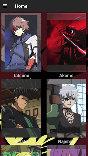 Akame ga Kill Wallpaper/Heroes