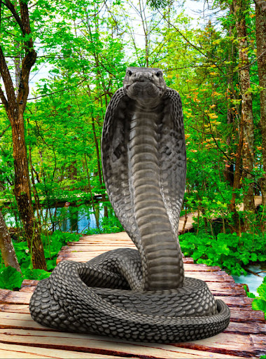 Android application Snake Live Wallpaper screenshort