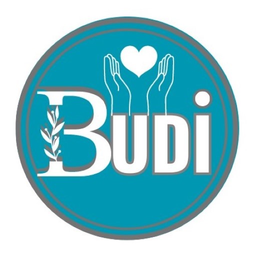 Budi logo