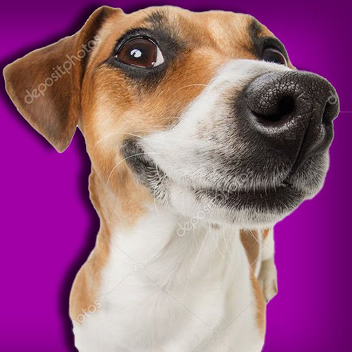 Dog and Kega logo