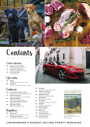 Android application Lincolnshire Life Magazine screenshort