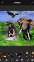 screenshot of Wild Animal Frames for Picture