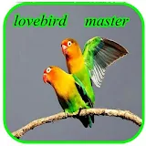 Kicau Love Bird Master icon