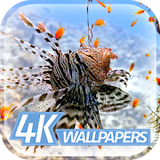 The best fish wallpapers