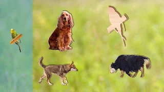 Puzzle Game Animals for Kids - Screenshot 3