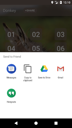 Donkey sounds Screen 3