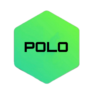 Polo VPN - Fast And Unlimited apk
