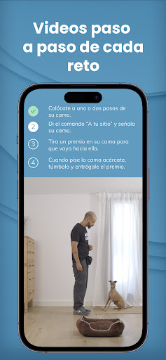 Mister Cooper - Adiestramiento Screen 3