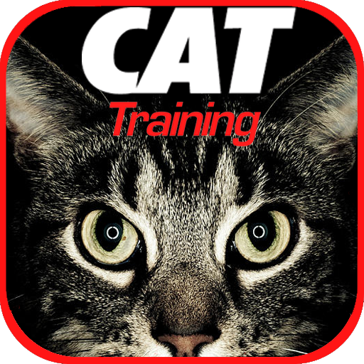 Cat Training  Icon