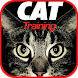 Cat Training - Androidアプリ
