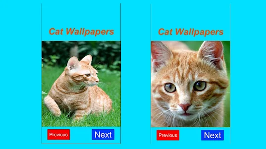 Cat Cute Effects Wallpaper 4K