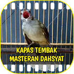 Cover Image of ダウンロード Kapas Tembak Masteran 1.8 APK