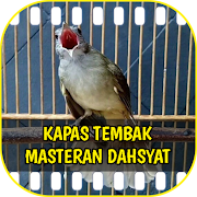 Kapas Tembak Masteran Dahsyat Offline