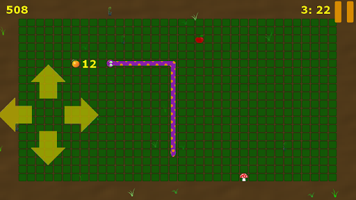 Retro Snake Screen 3