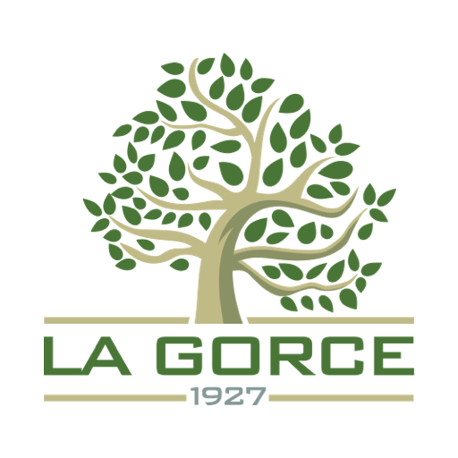LGCC 1927 logo