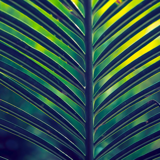 coconut tree wallpaper logo