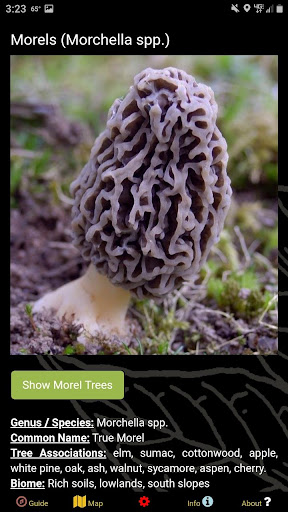 Iowa Mushroom Forager Map Screen 2