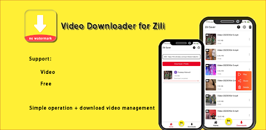 Video Downloader for Zili
