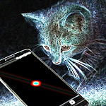 Cover Image of Herunterladen Laser pointer for cats  APK