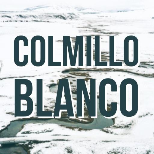 COLMILLO BLANCO - LIBRO GRATIS  Icon