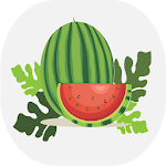 Cover Image of Download how to cultivate watermelons  APK