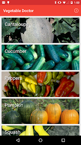 Vegetable Doctor - Apps on Google Play