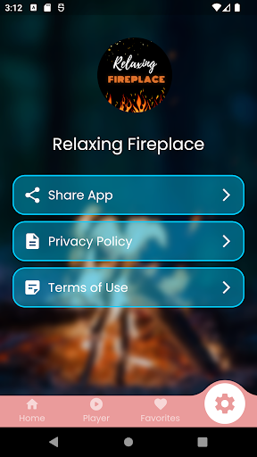 Relaxing Fireplace Screen 3