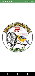 RADIO CALANDRIA 91.1FM