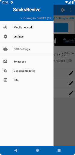 SocksRevive PluginDNSTT