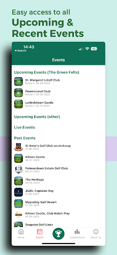 The Green Felts Screen 3