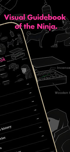 Ninja Book Screen 2