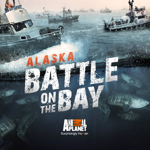 Alaska Battle on the Bay TV on Google Play