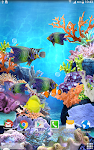 screenshot of Coral Fish Live Wallpaper