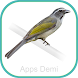 Cantos do Pássaro Trinca-ferro - Androidアプリ