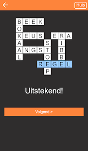 Crossword puzzle Dutch
