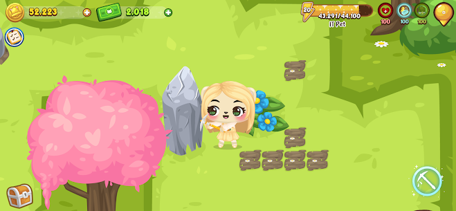 Pet Society Island 2