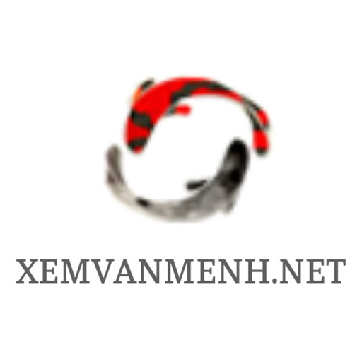 Bói bài Tarot logo